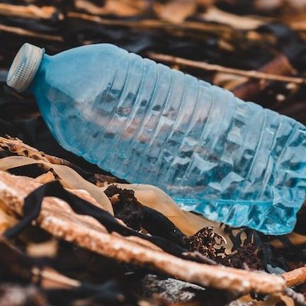 blue plastic bottle on brown dried leaves