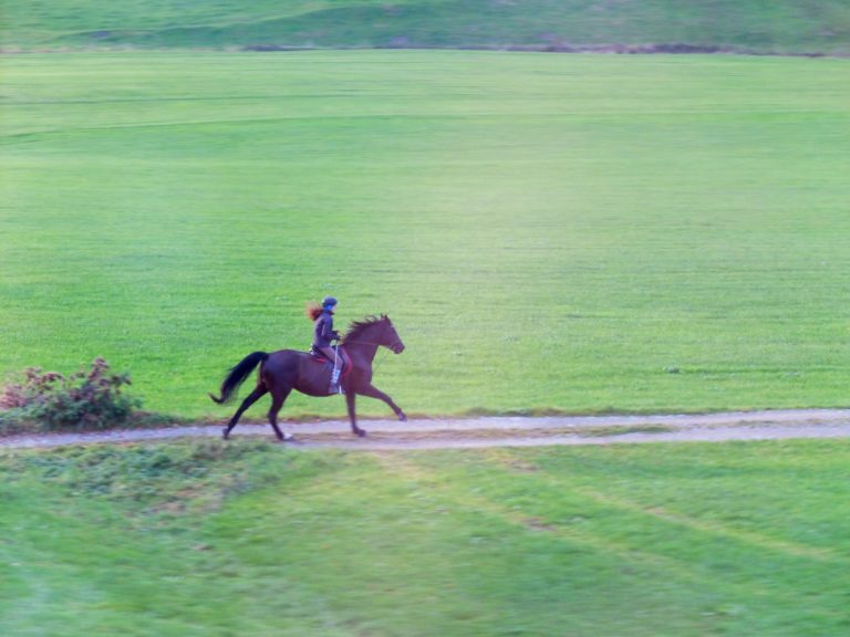 2 brown horses running on green grass field during daytime